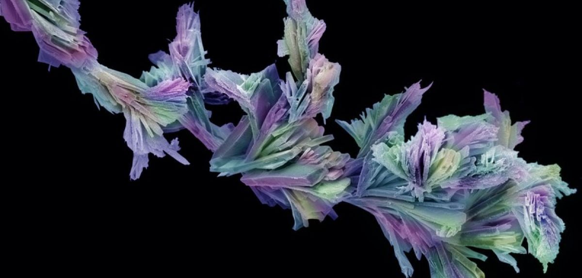 Could aspirin be used to treat tuberculous meningitis? University of